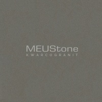 Gris Expo Silestone - MEUStone